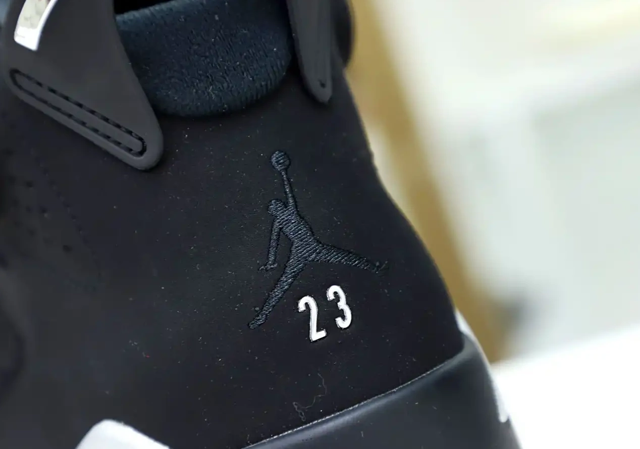 6 CHROME JORDAN AIR 0424